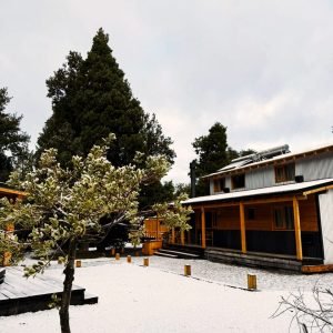 cabaña-nieve05
